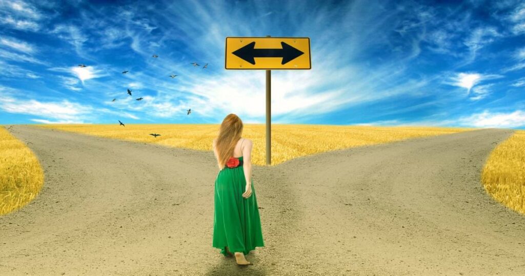 Choose Consultant or Vendor